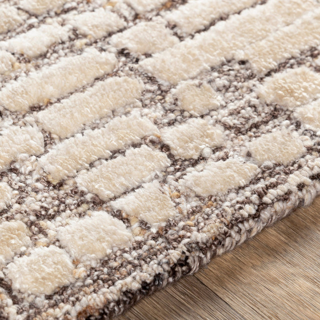 Surya Montclair Mtc-2304 Dark Brown, Ivory, Beige, Khaki Rugs.