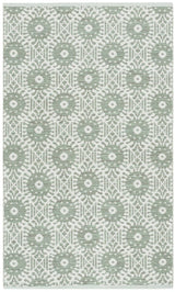 Safavieh Montauk Mtk612G Light Green / Ivory Rugs.