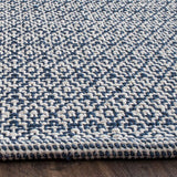 Safavieh Montauk Mtk717H Ivory / Navy Rugs.