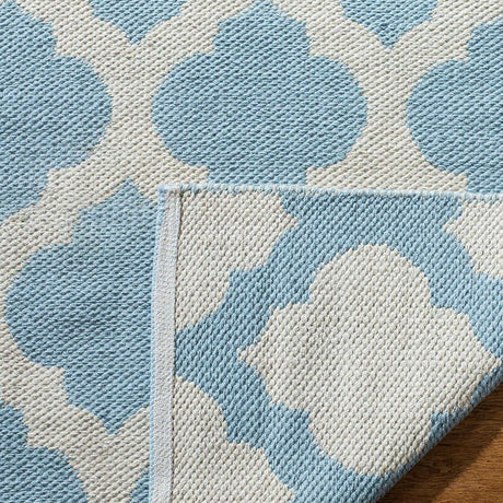 Safavieh Montauk Mtk723K Light Blue / Ivory Rugs.