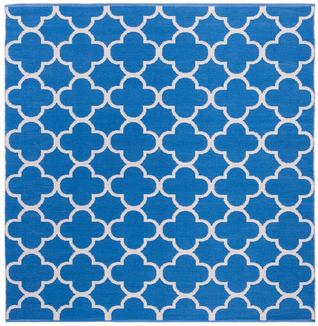 Safavieh Montauk Mtk725C Blue / Ivory Rugs.