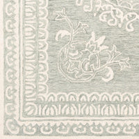 Surya Newcastle Ncs-2306 Sea Foam, Sage, Cream Area Rug