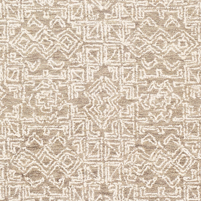 Surya Newcastle Ncs-2309 Taupe, Cream Rugs.