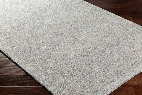Surya Newcastle Ncs-2310 Sea Foam, Teal, Sage, Taupe Rugs.