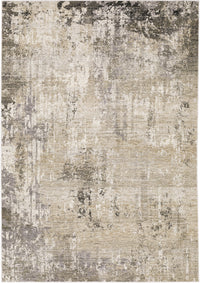 Oriental Weavers Sphinx Nebulous 002X9 Beige/ Grey Area Rug