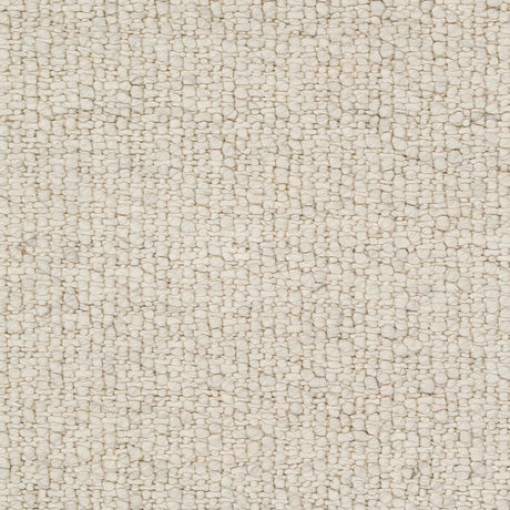 Surya Neravan Ner-1001 Cream, Charcoal Rug.