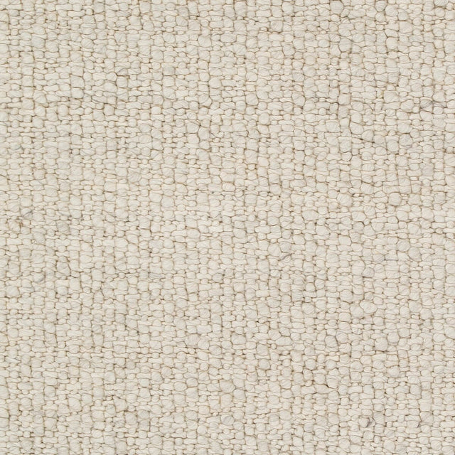 Surya Neravan Ner-1001 Cream, Charcoal Rug.