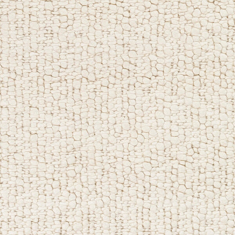 Surya Neravan Ner-1003 Cream Rugs.