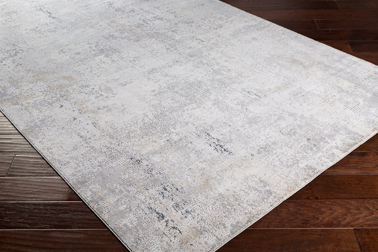 Surya Norland Nld-2303 Light Gray, Charcoal, Navy, Butter Rugs.