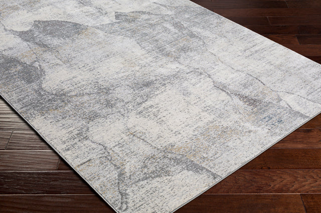 Surya Norland Nld-2310 Light Gray, Charcoal, Cream, Khaki Rugs.