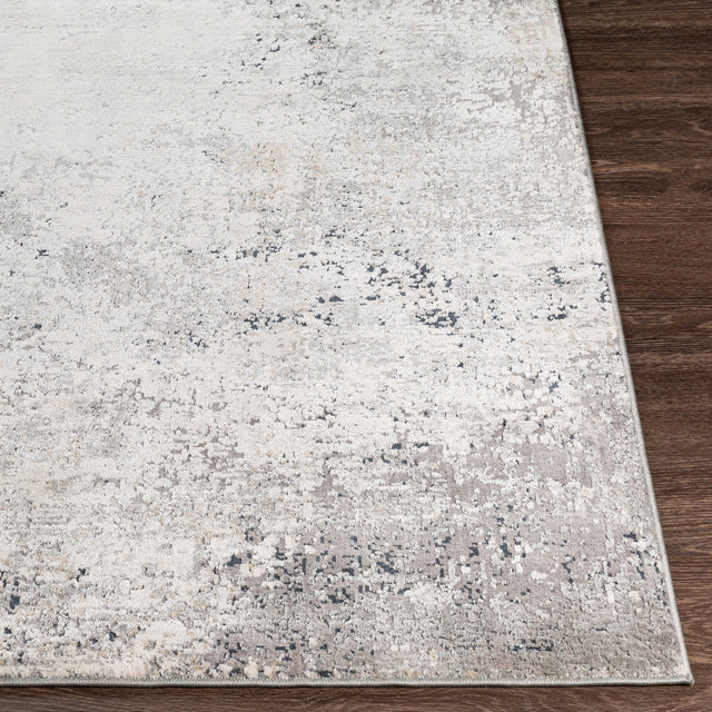 Surya Norland Nld-2314 Medium Gray, Charcoal, Cream, Beige Rugs.