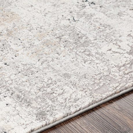 Surya Norland Nld-2314 Medium Gray, Charcoal, Cream, Beige Rugs.
