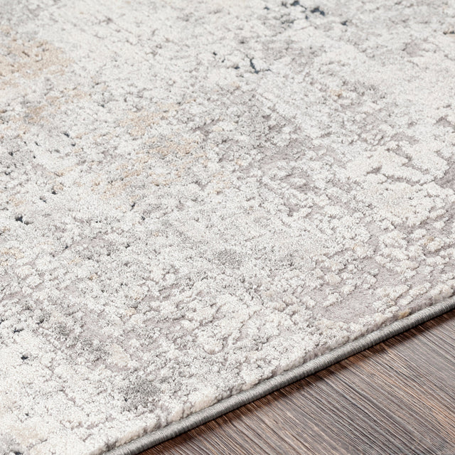 Surya Norland Nld-2314 Medium Gray, Charcoal, Cream, Beige Rugs.