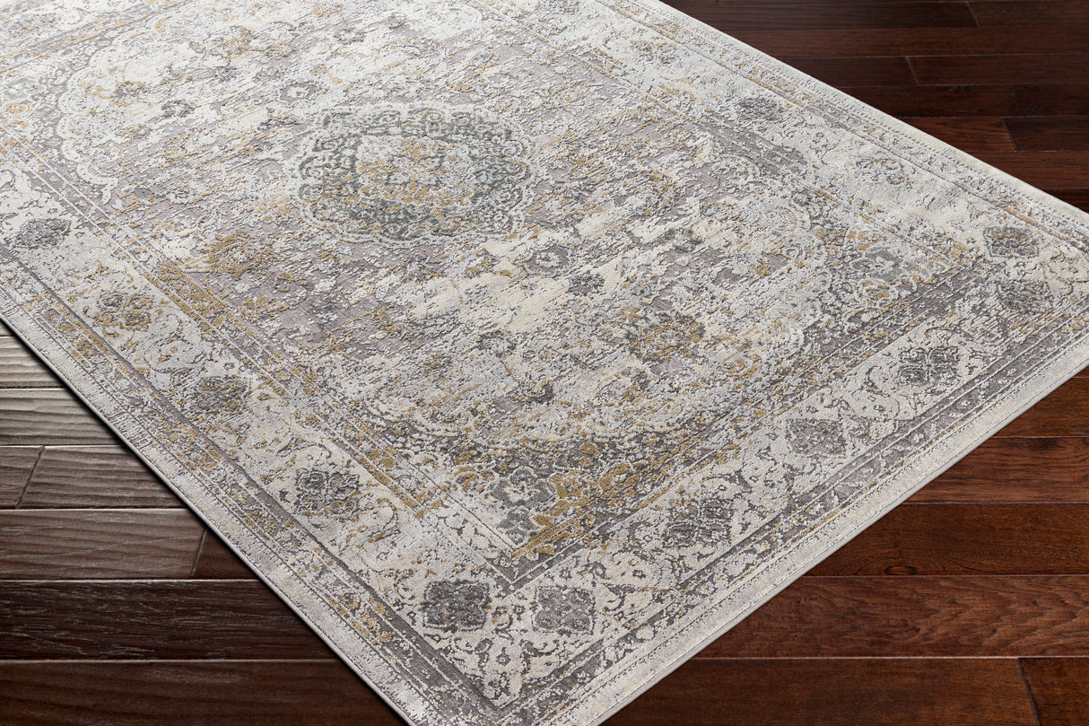 Surya Norland Nld-2318 Medium Gray, Cream, Khaki Rugs.