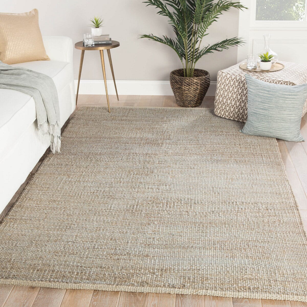 Jaipur Naturals Monaco Anthro Nlm06 Tan Area Rug