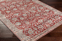 Surya Nolita Nlt-2300 Burgundy Area Rug