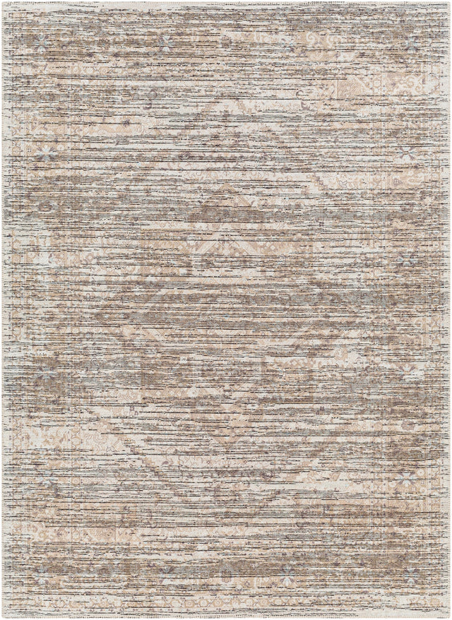 Surya Nolita Nlt-2301 Brown Rug.