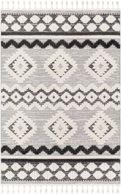 Surya Nora Noa-2301 Grey Area Rug