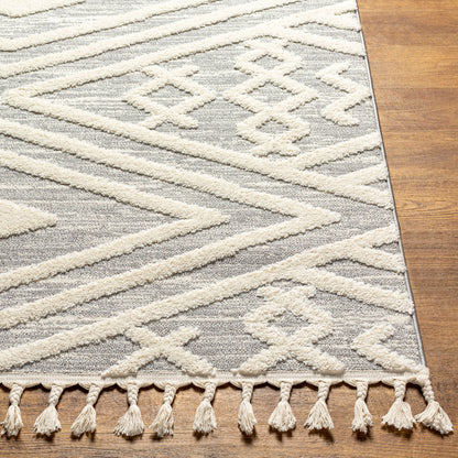 Surya Nora Noa-2302 Grey Area Rug