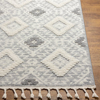 Surya Nora Noa-2303 Grey Area Rug