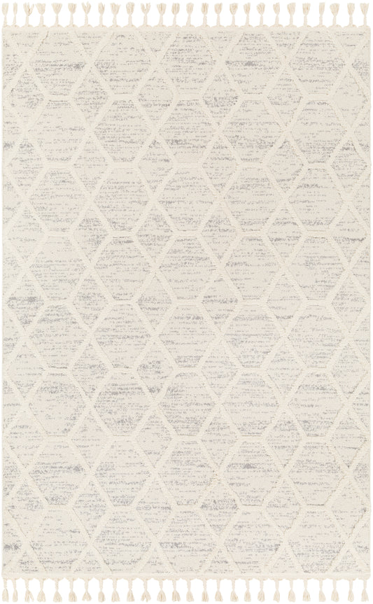 Surya Nora Noa-2311 Beige Area Rug