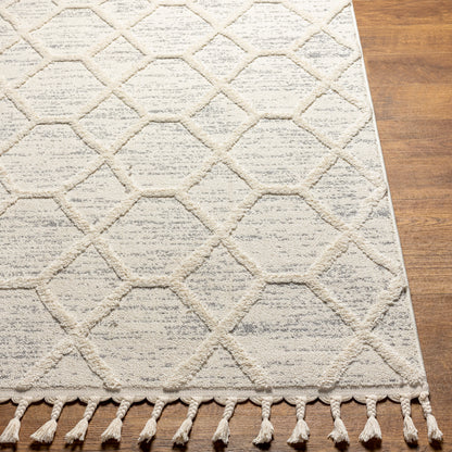 Surya Nora Noa-2311 Beige Area Rug