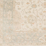 Surya Normandy Noy-8002 Light Gray / Sea Foam / Ivory Rugs.