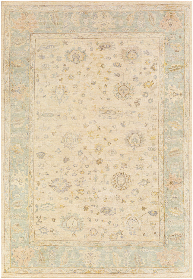 Surya Normandy Noy-8010 Seafoam, Cream, Dark Brown, Tan Rugs.