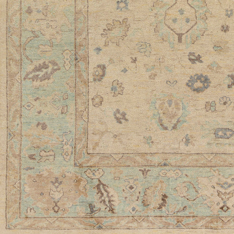 Surya Normandy Noy-8010 Seafoam, Cream, Dark Brown, Tan Rugs.