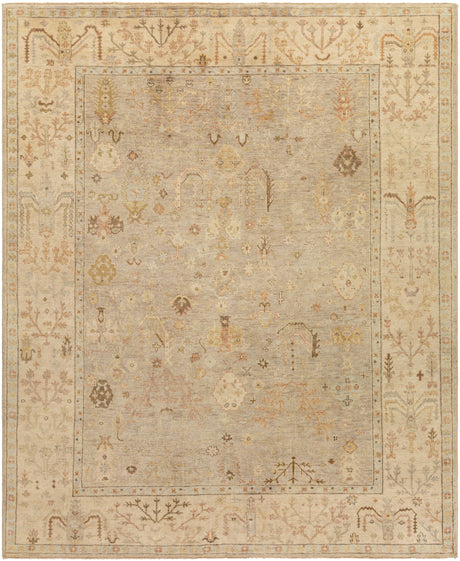 Surya Normandy Noy-8012 Taupe, Cream, Light Gray, Dark Brown Rugs.