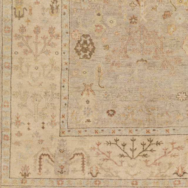 Surya Normandy Noy-8012 Taupe, Cream, Light Gray, Dark Brown Rugs.