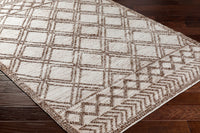 Surya Napoli Npo-2308 Brown Area Rug