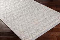 Surya Napoli Npo-2314 Grey Area Rug