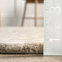 Nuloom Yvette Spotted Nyv2684A Beige Area Rug