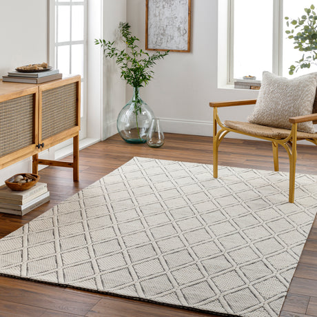 Surya Nevada Nvd-2303 Grey Rug.
