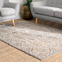 Nuloom Vintage Delilah Nvi2472A Beige Area Rug