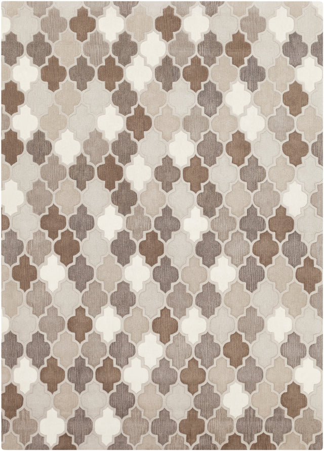 Surya Oasis Oas-1088 Charcoal, Taupe Rug.