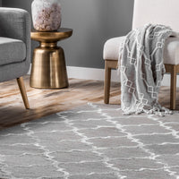 Nuloom Park Avenue Trellis Npa3269A Gray Area Rug