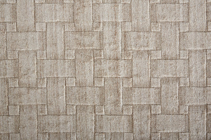 Feizy Redford 8669F Tan Area Rug