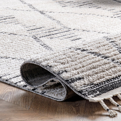 Nuloom Feodora Plush Nfe3037A Beige Area Rug