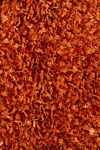 Chandra Ormet Orm19401 Orange Shag Area Rug
