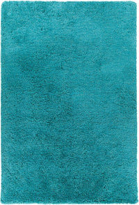 Chandra Osim Osi35106 Turquoise Shag Area Rug