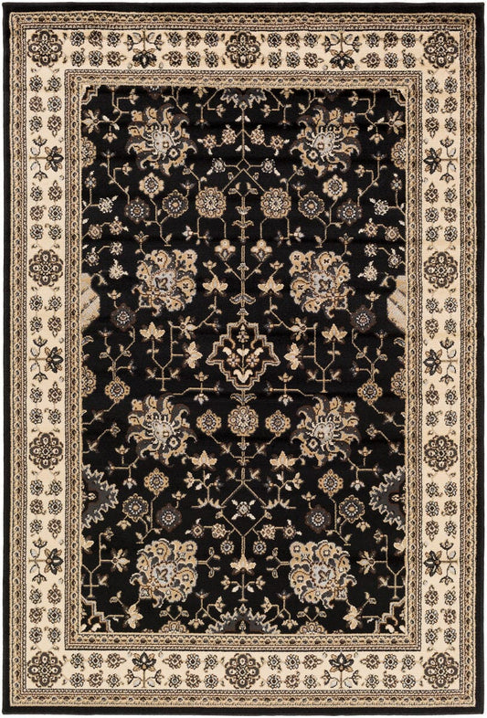 Surya Paramount Par-1070 Black, Beige, Dark Brown, Pale Blue Area Rug