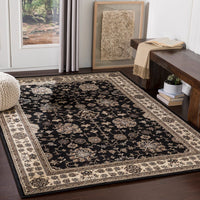 Surya Paramount Par-1070 Black, Beige, Dark Brown, Pale Blue Area Rug