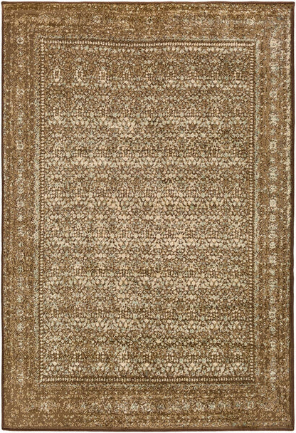 Surya Paramount Par-1076 Dark Brown, Tan, Pale Blue, Beige Area Rug