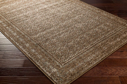 Surya Paramount Par-1076 Dark Brown, Tan, Pale Blue, Beige Area Rug