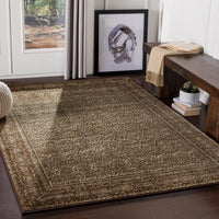 Surya Paramount Par-1076 Dark Brown, Tan, Pale Blue, Beige Area Rug