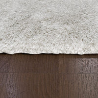 Dynamic Paradise 2401 Taupe / Multi Shag Area Rug