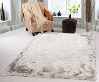 Dynamic Paradise 2401 Taupe / Multi Shag Area Rug