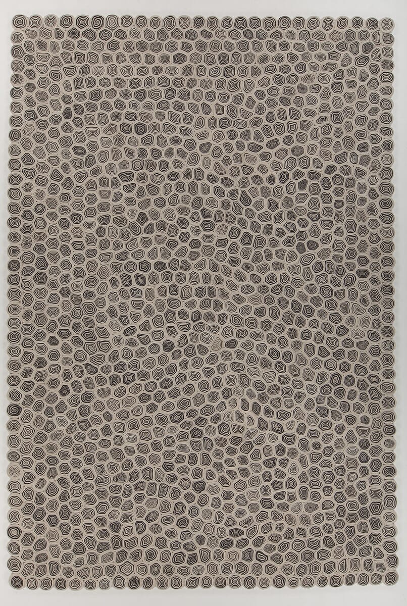 Chandra Patagonia Pat-46802 Black / White Area Rug